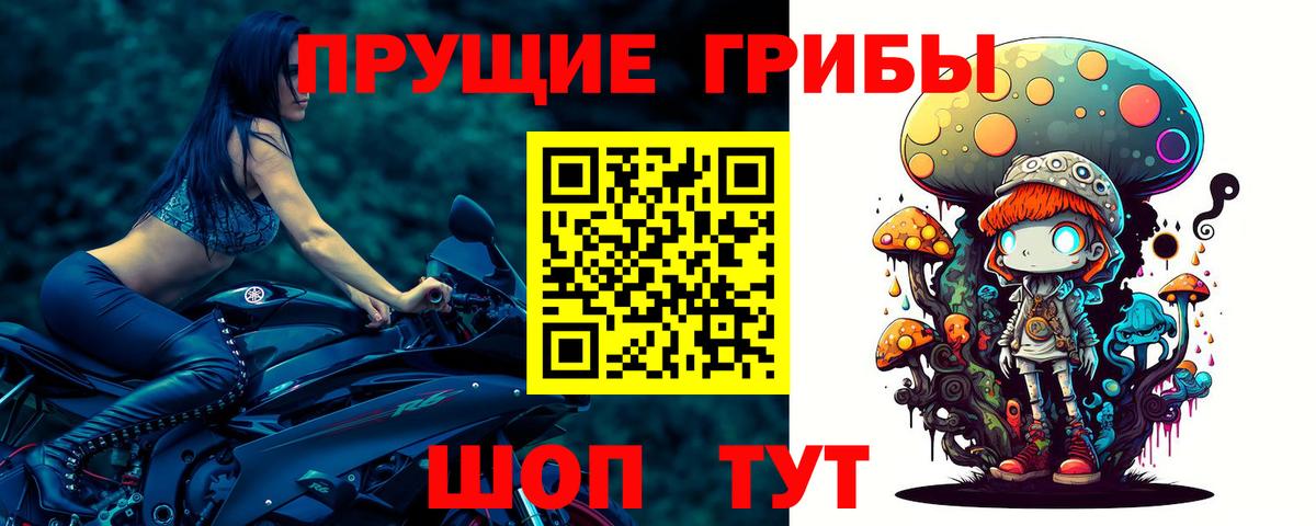 Гулькевичи  Псилоцибиновые грибы мухоморы  Вход с VPN 
