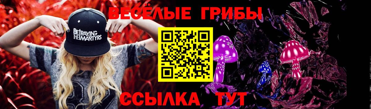 Псилоцибиновые грибы мухоморы Гулькевичи